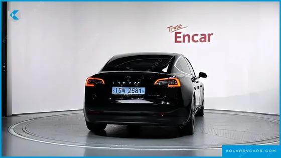 TESLA MODEL 3 STANDARD RANGE PLUE RWD
