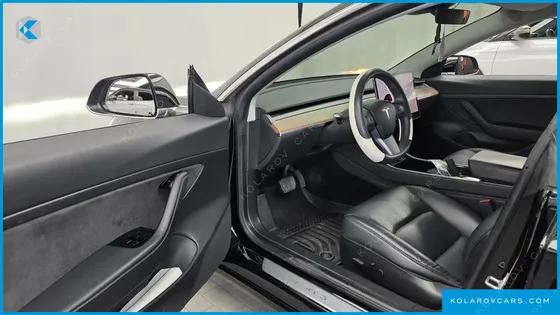 TESLA MODEL 3 STANDARD RANGE PLUE RWD