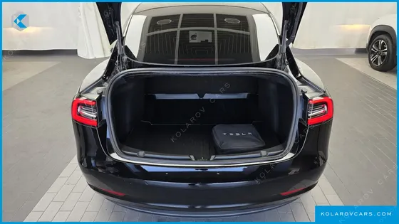 TESLA MODEL 3 STANDARD RANGE PLUE RWD
