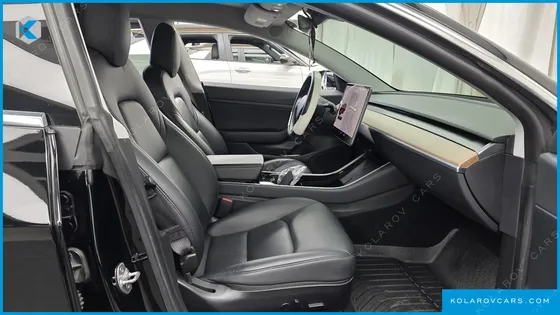 TESLA MODEL 3 STANDARD RANGE PLUE RWD
