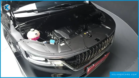 KIA CARNIVAL GASOLINE 9-SEATER SIGNATURE