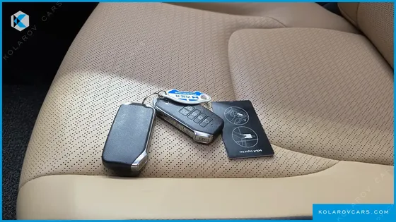KIA CARNIVAL GASOLINE 9-SEATER SIGNATURE