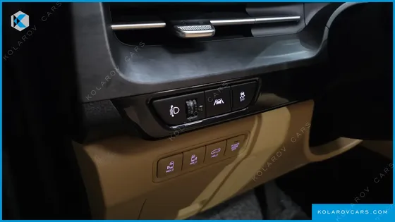 KIA CARNIVAL GASOLINE 9-SEATER SIGNATURE