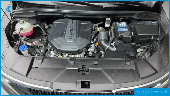 KIA CARNIVAL DIESEL 9-SEATER NOBLESSE