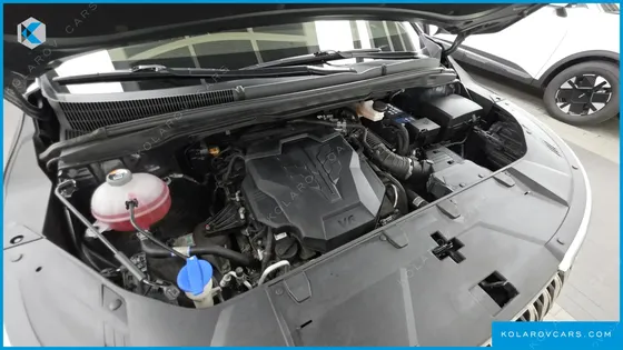 KIA CARNIVAL GASOLINE 9-SEATER HI-LIMOUSINE