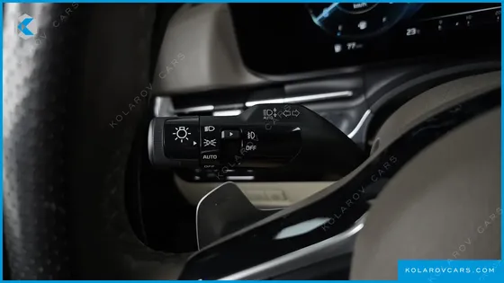 KIA CARNIVAL GASOLINE 9-SEATER HI-LIMOUSINE