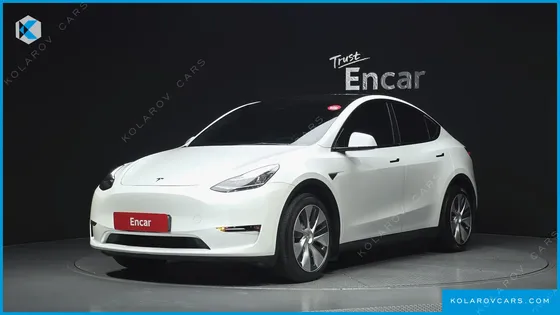 TESLA MODEL Y LONG RANGE AWD