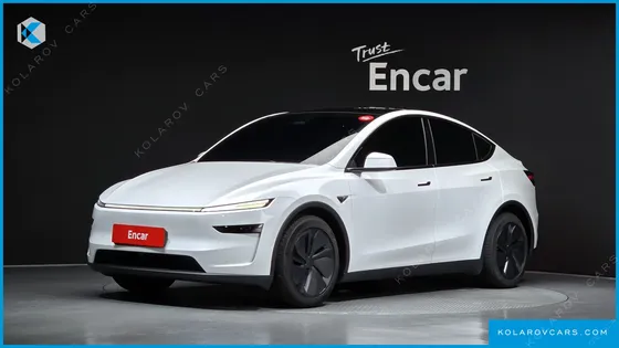 TESLA MODEL Y PREMIUM LONG RANGE AWD