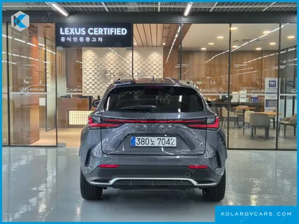 LEXUS NX F-SPORT