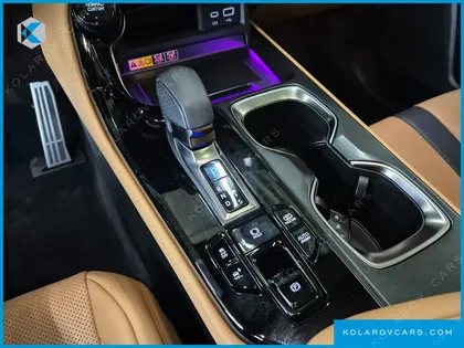 LEXUS NX F-SPORT