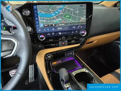 LEXUS NX F-SPORT
