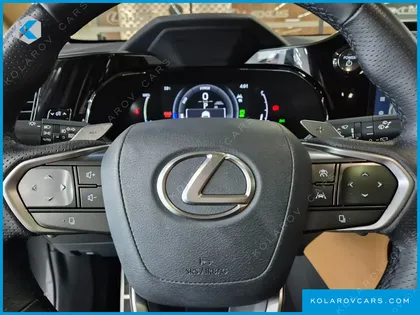 LEXUS NX F-SPORT