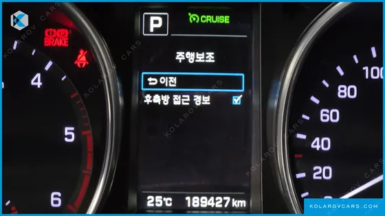 HYUNDAI MAXCRUISE DIESEL 2.2 2WD
