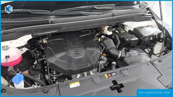 KIA CARNIVAL DIESEL 7-SEATER OUTDOOR