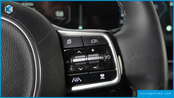 KIA CARNIVAL DIESEL 7-SEATER OUTDOOR