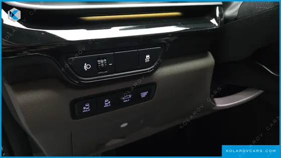KIA CARNIVAL GASOLINE 9-SEATER SIGNATURE