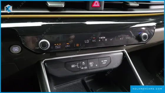 KIA CARNIVAL GASOLINE 9-SEATER SIGNATURE