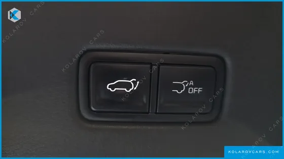 KIA CARNIVAL GASOLINE 9-SEATER SIGNATURE