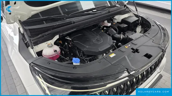 KIA CARNIVAL DIESEL 7-SEATER OUTDOOR