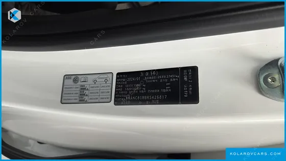 KIA CARNIVAL DIESEL 7-SEATER OUTDOOR