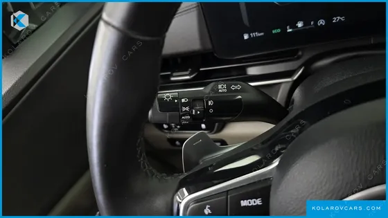 KIA CARNIVAL DIESEL 7-SEATER OUTDOOR