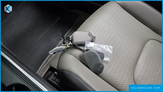 KIA CARNIVAL DIESEL 7-SEATER OUTDOOR