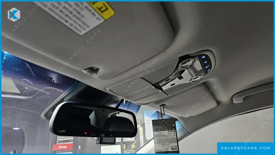 HYUNDAI GRANDEUR 3.0 LPI EXCLUSIVE (RENTAL CAR)
