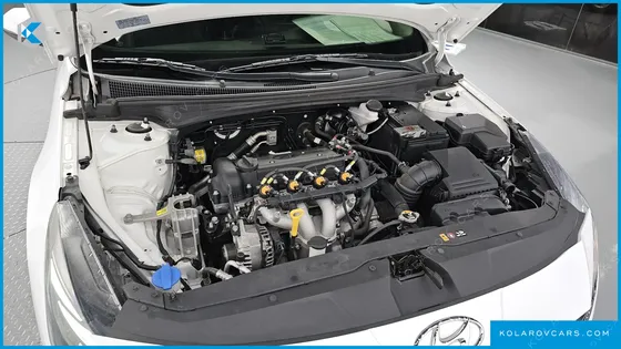 HYUNDAI ELANTRA (AVANTE) 1.6 LPI (RENTAL CAR)