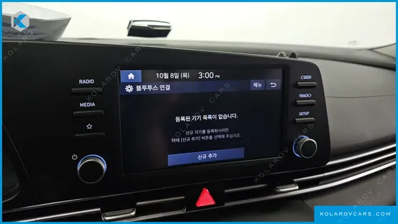 HYUNDAI ELANTRA (AVANTE) 1.6 LPI (RENTAL CAR)