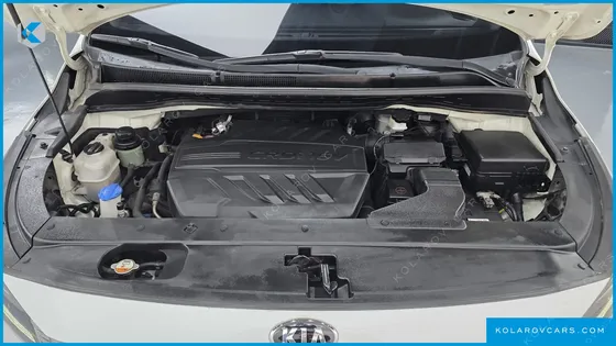 KIA CARNIVAL 9-SEATER LUXURY