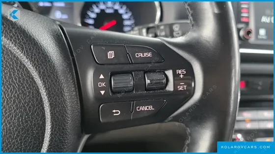 KIA CARNIVAL 9-SEATER LUXURY