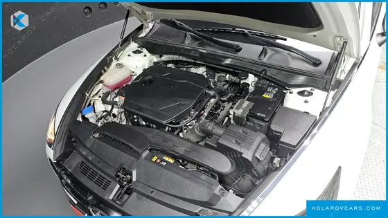 HYUNDAI SONATA 2.0 LPG(RENTAL CAR)