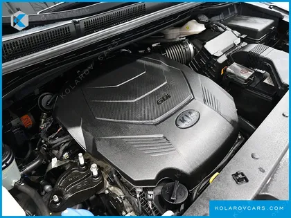 KIA CARNIVAL GASOLINE 7-SEATER LIMOUSINE