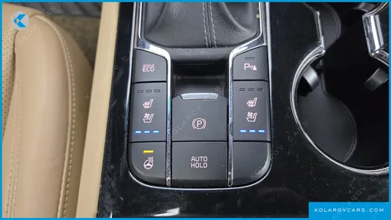 KIA CARNIVAL 9-SEATER NOBLESSE