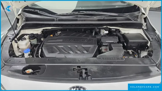 KIA CARNIVAL 9-SEATER LUXURY