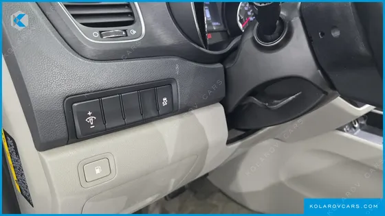 KIA CARNIVAL 9-SEATER LUXURY
