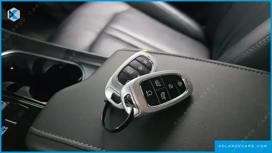 HYUNDAI SONATA 2.0 LPG(RENTAL CAR)