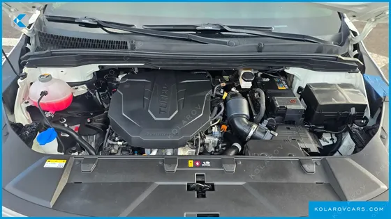 KIA CARNIVAL DIESEL 9-SEATER SIGNATURE