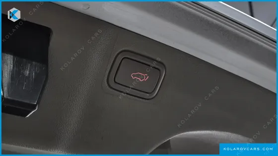 KIA CARNIVAL 9-SEATER NOBLESSE