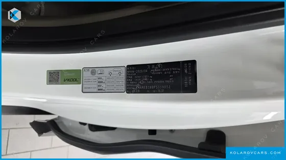 KIA CARNIVAL DIESEL 9-SEATER SIGNATURE