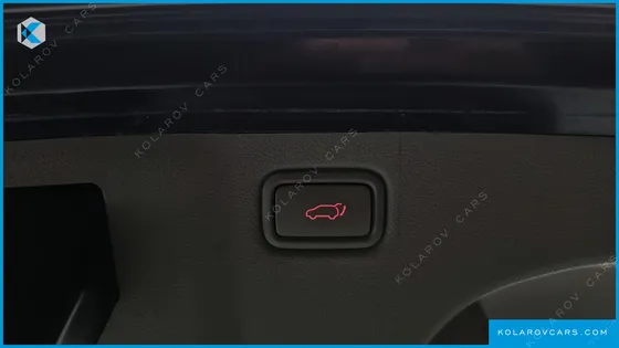 KIA CARNIVAL 9-SEATER NOBLESSE SPECIAL