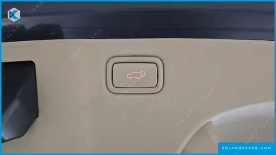 KIA CARNIVAL 9-SEATER NOBLESSE