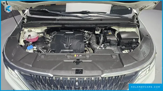 KIA CARNIVAL GASOLINE 9-SEATER SIGNATURE