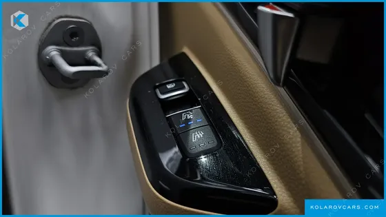 KIA CARNIVAL GASOLINE 9-SEATER SIGNATURE