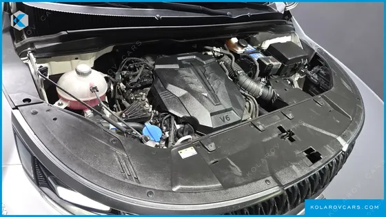 KIA CARNIVAL GASOLINE 4-SEATER HI-LIMOUSINE