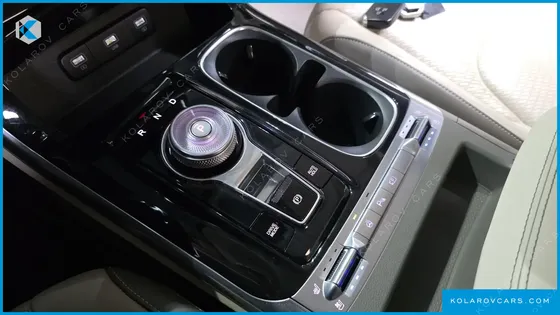 KIA CARNIVAL GASOLINE 4-SEATER HI-LIMOUSINE