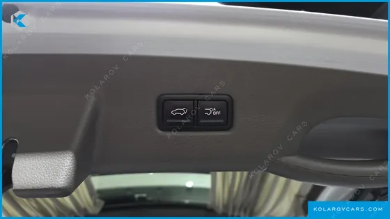 KIA CARNIVAL GASOLINE 4-SEATER HI-LIMOUSINE