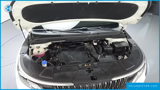 KIA CARNIVAL GASOLINE 7-SEATER HI-LIMOUSINE