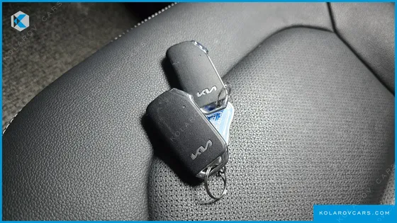 KIA RAY SIGNATURE