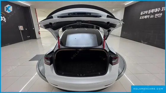 TESLA MODEL 3 PERFORMANCE AWD